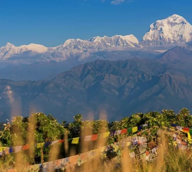 Ghorepani Poon Hill Trek