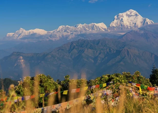 Ghorepani Poon Hill Trek