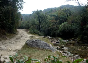 Chisapani Trekking